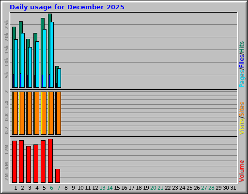 Daily usage for December 2025