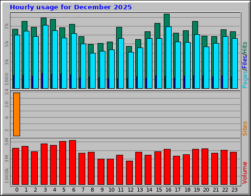 Hourly usage for December 2025